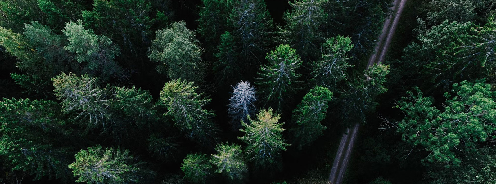 Jiangsu Xiangyi rhoncus Technology (Group) Co, Ltd.